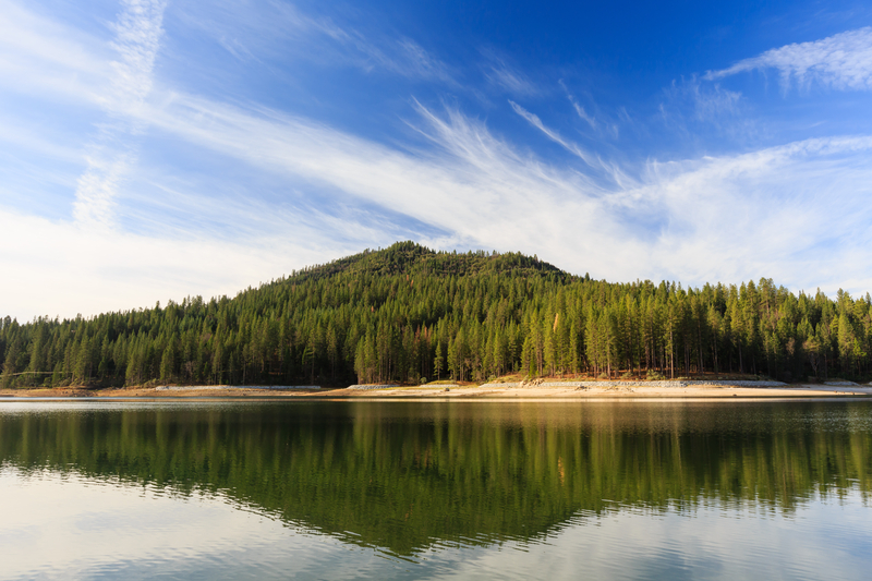 Evergreen trees covering small mountain and bright blue sky reflected in placid lake
